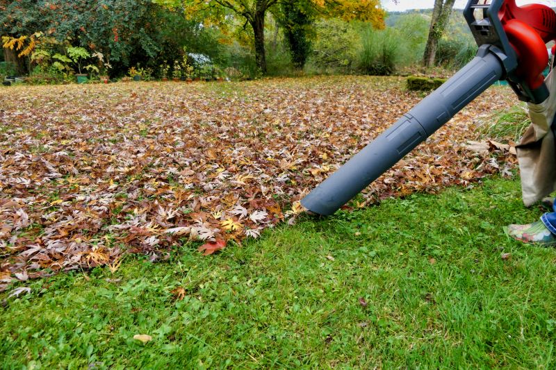 Professional Leaf Removal Equipment