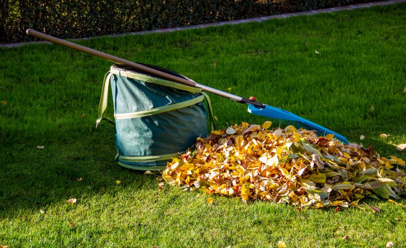 Leaf Disposal Service