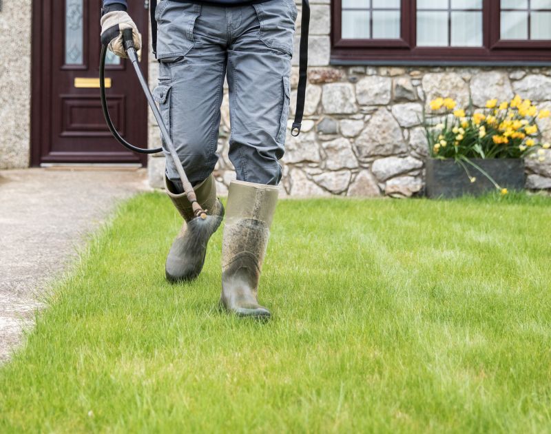 Team Working on Landscaping