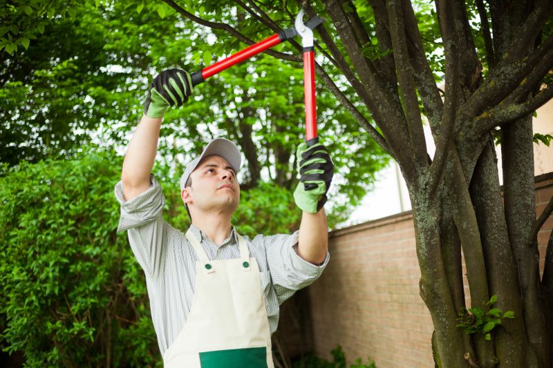 Specialty Tree and Shrub Care Providers