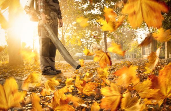 Cost of Leaf Blowing Service in Aiken