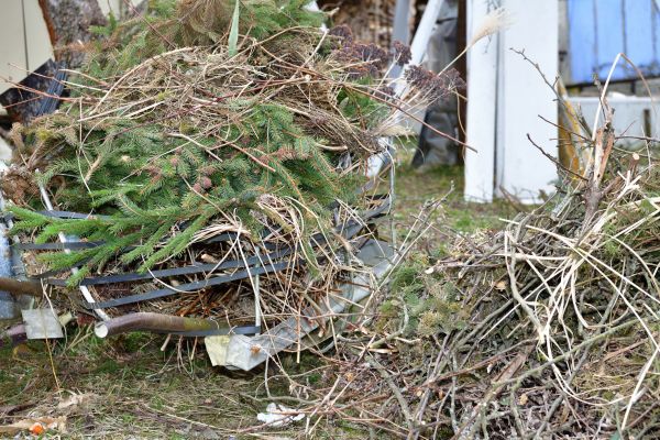 Cost of Yard Debris Removal in Aiken