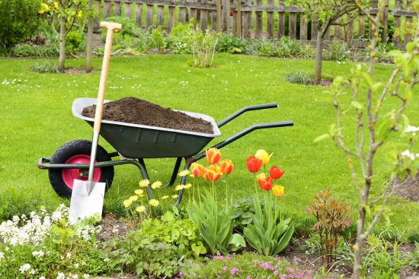 Cost of Spring Yard Cleanup in Aiken