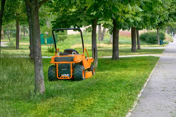 Cost of Landscaping Cleanup Service in Aiken