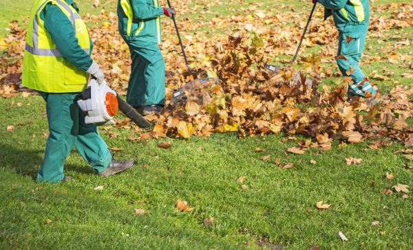Cost of Leaf Maintenance in Aiken