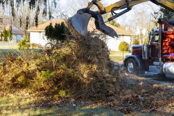 Cost of Storm Debris Removal in Aiken