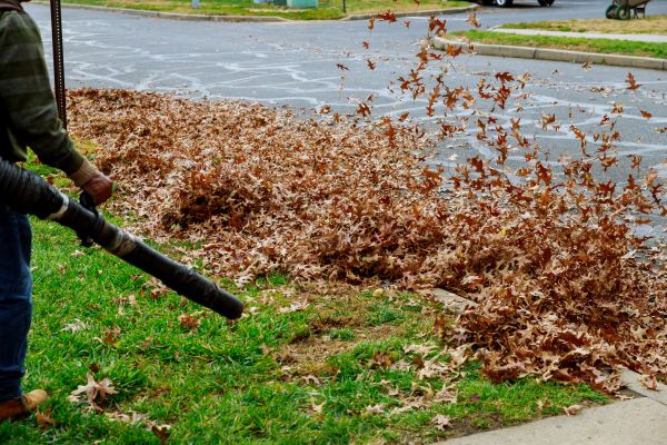Cost of Garden Leaf Removal in Aiken