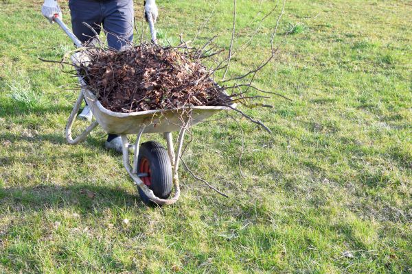Cost of Yard Brush Removal in Aiken