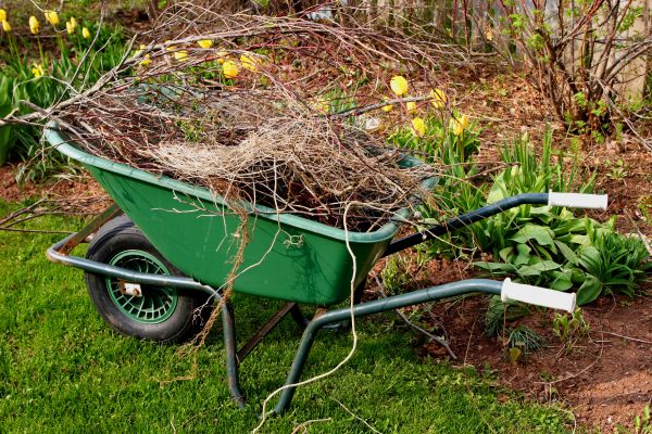 Cost of Lawn Waste Removal in Aiken