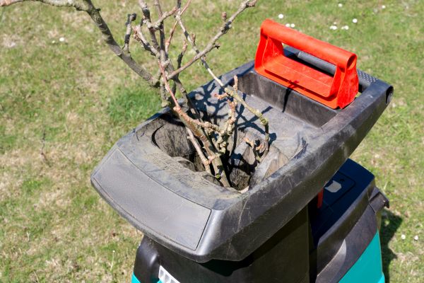 Cost of Brush Cleanup Service in Aiken