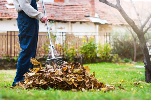 Cost of Fall Yard Cleanup Service in Aiken