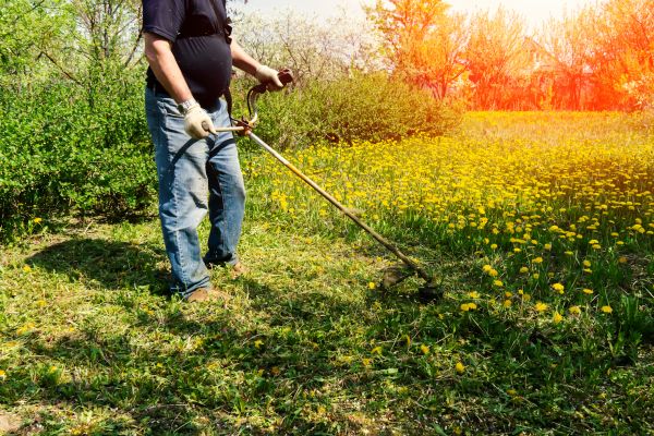 Cost of Yard Clearing Service in Aiken