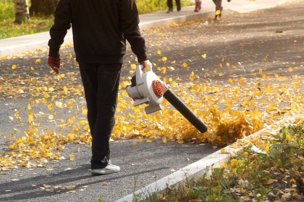 Cost of Commercial Leaf Removal in Aiken